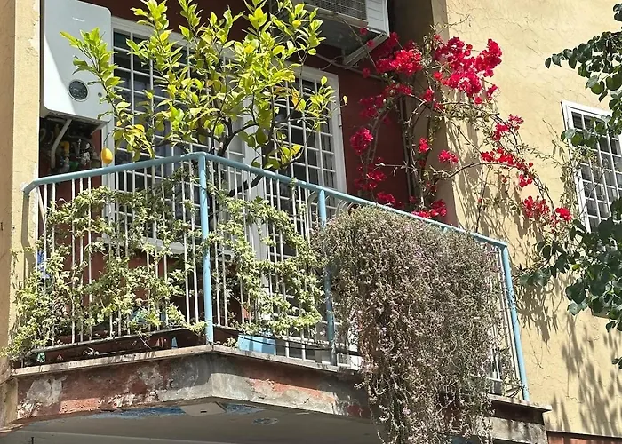 Casa Del Colle * רומא